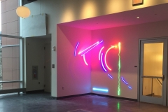 Neon Tube Installation, Stephen Antonakas